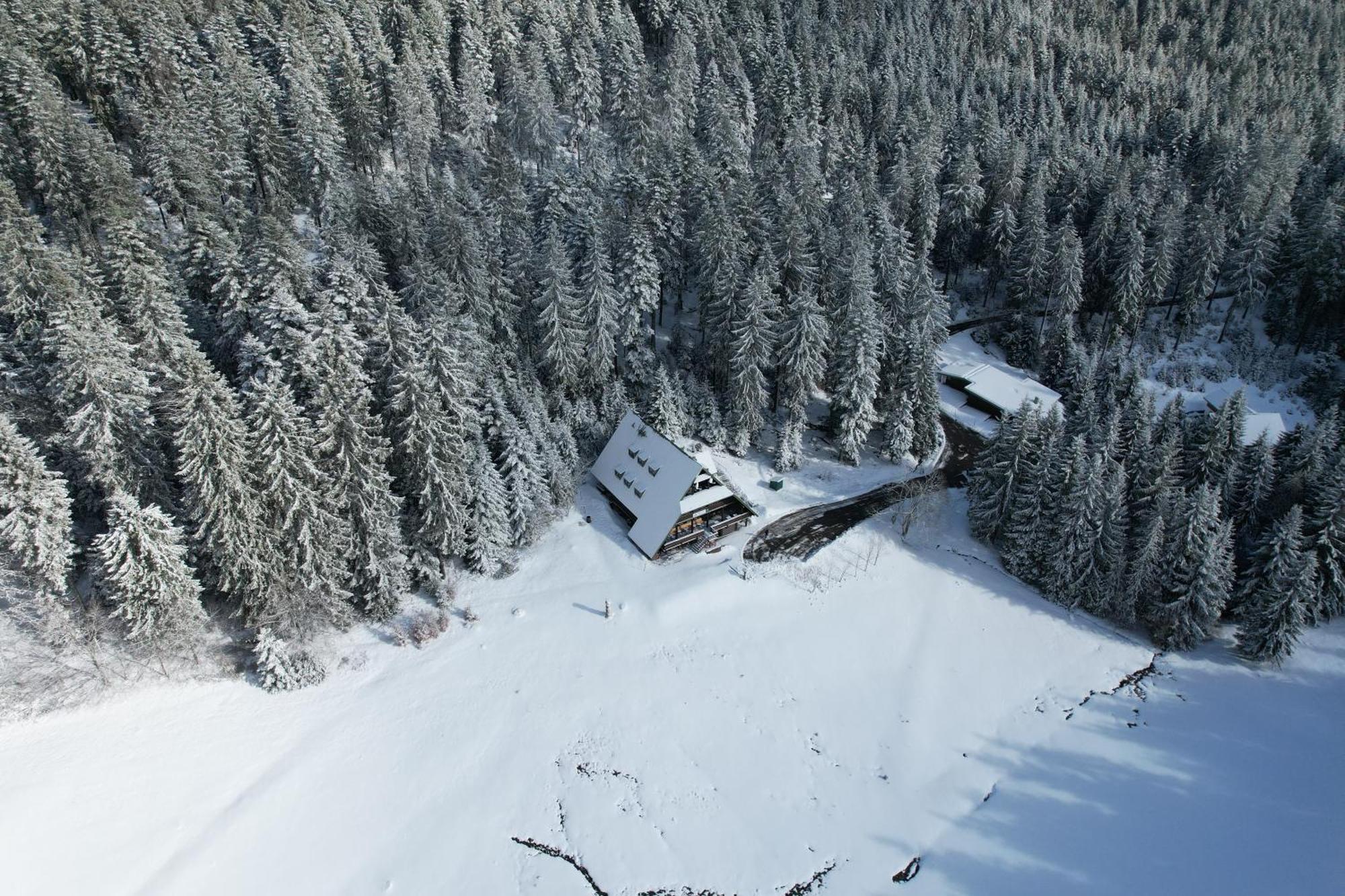 Edelfuchs-Lodge Bühlertal المظهر الخارجي الصورة