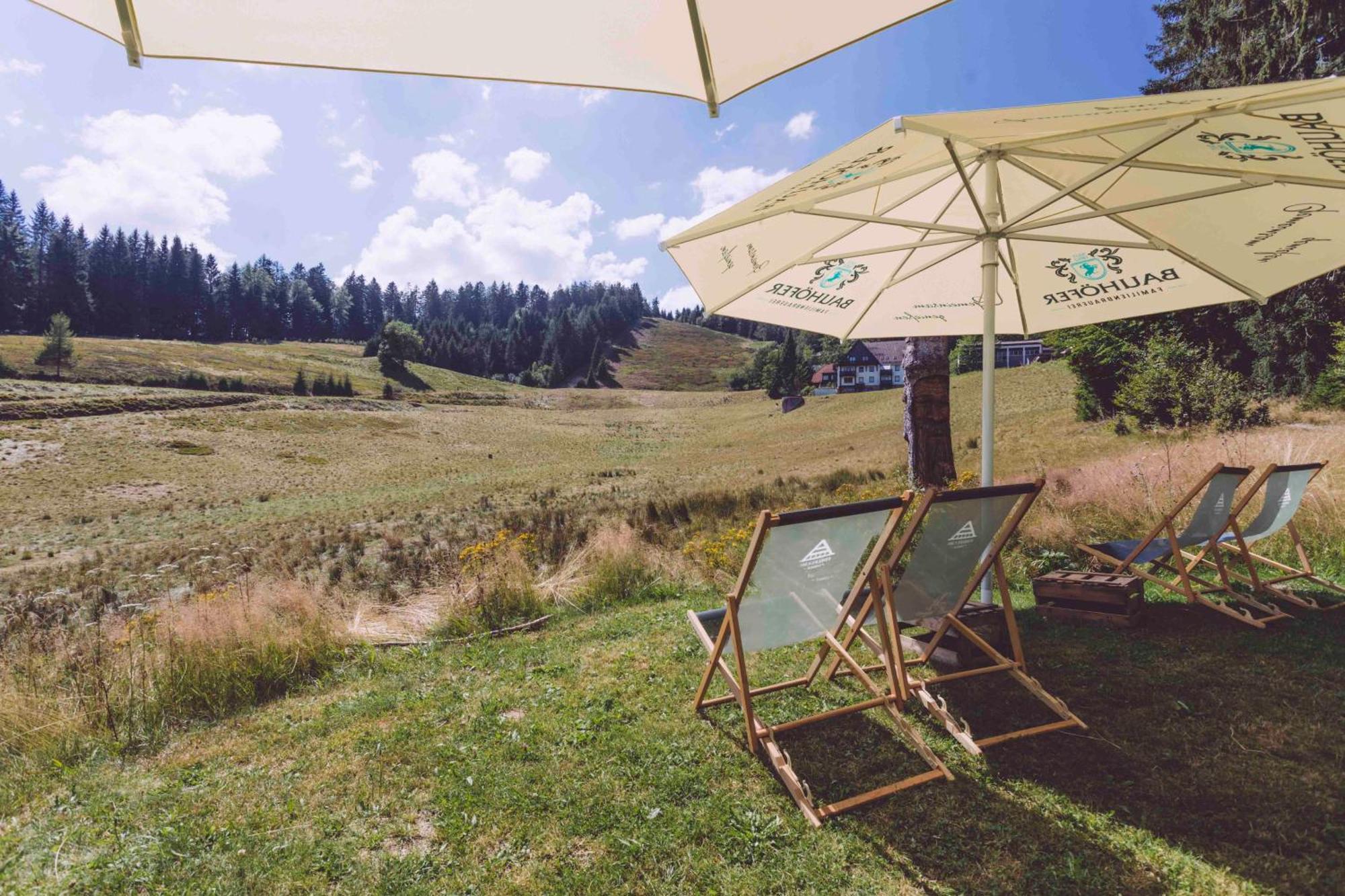 Edelfuchs-Lodge Bühlertal المظهر الخارجي الصورة